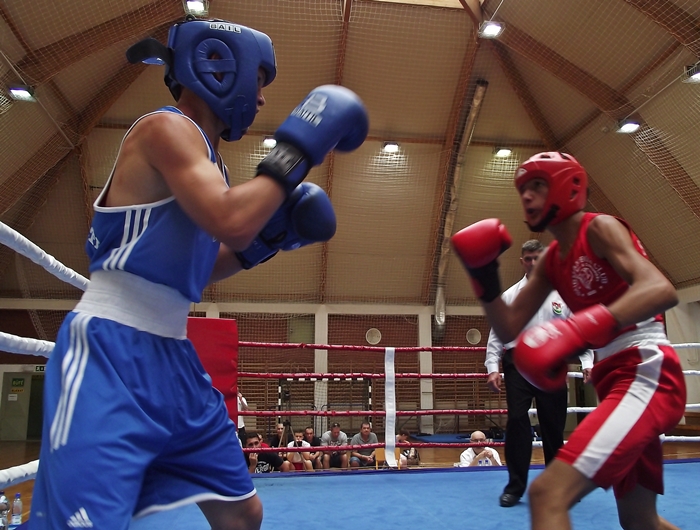 Pofonok, ütések, sikerek