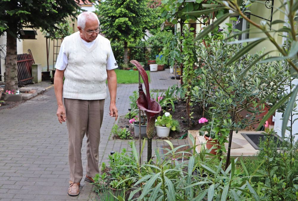 Jobb, ha nem szagolja meg