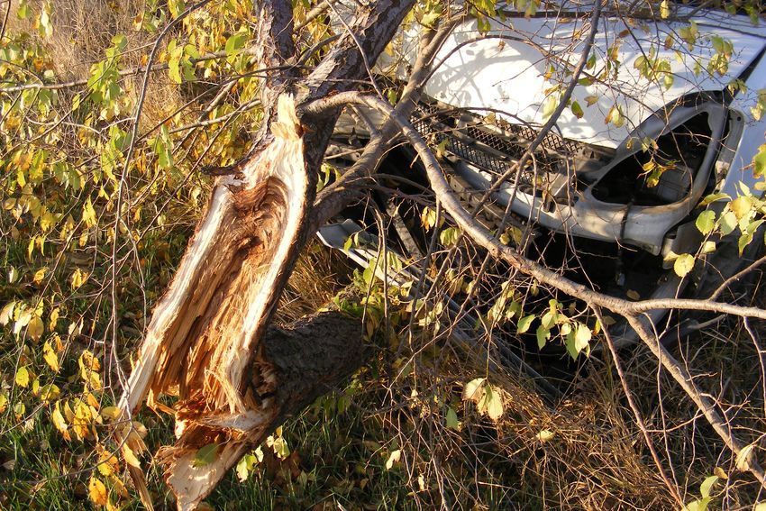 Árokba hajtott, fának csapódott