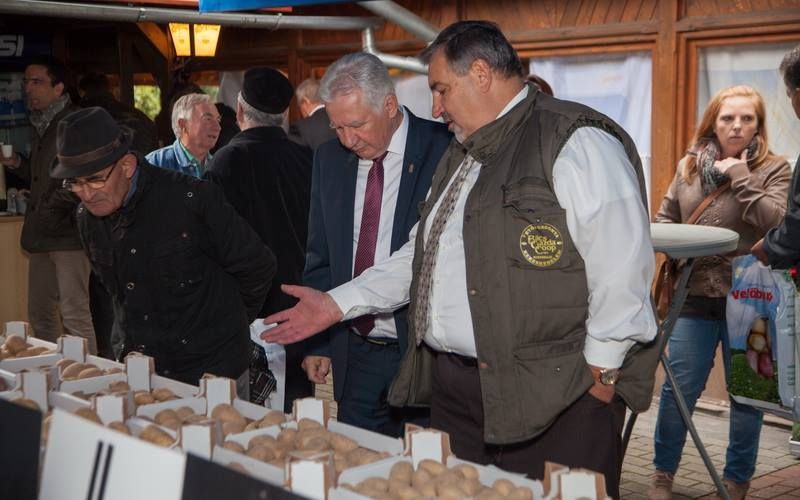 Minden a burgonyáról szólt