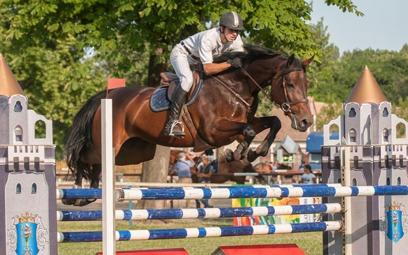 Barna Cobolddal vitte a prímet