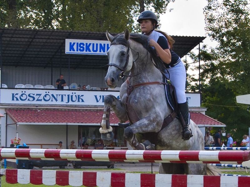 Ismét Championátus Kiskunhalason