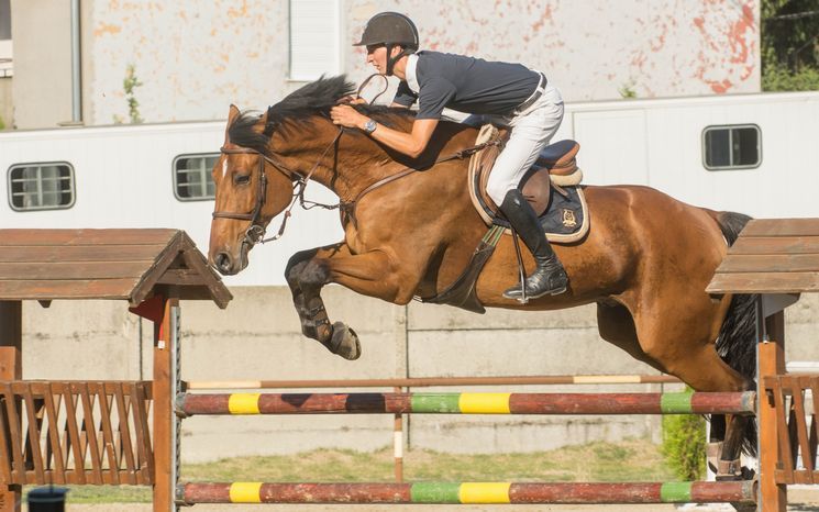 Lovasversenyek, családi nap, rekordkísérlet