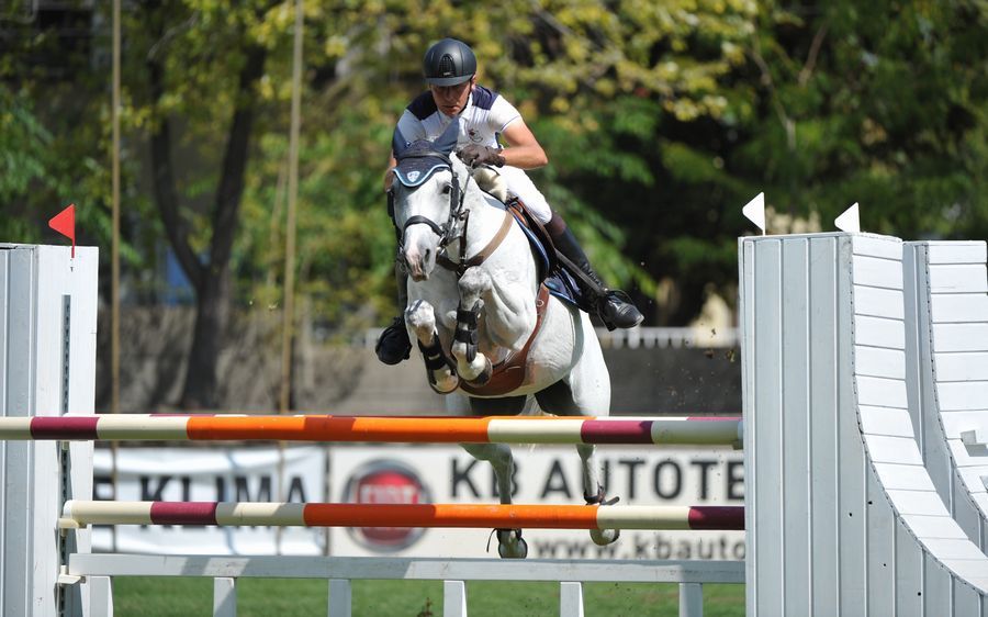 Szép pályák, halasi aranyak