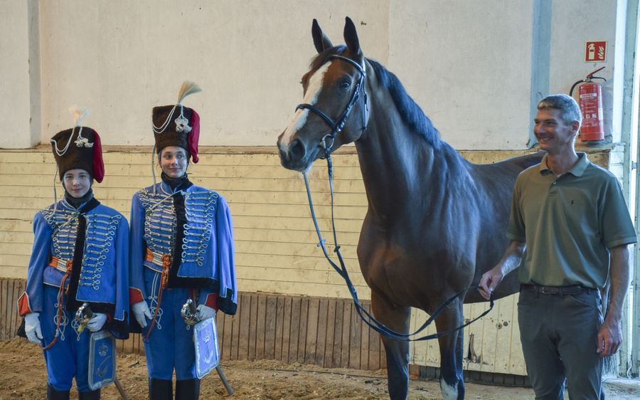 Huszáros lószemle a tenyészversenyen