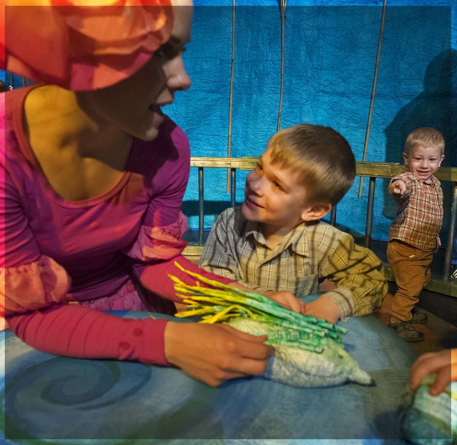 Ciróka és simogató