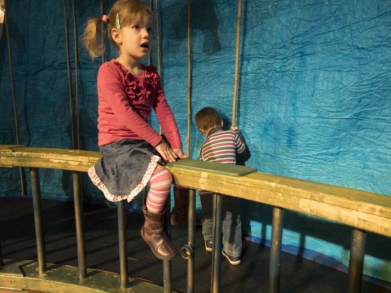 Ciróka és simogató