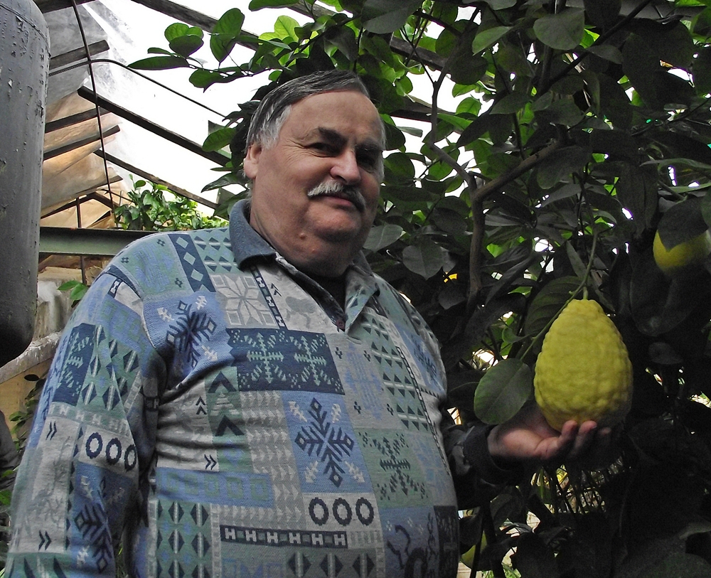 Megacitrom a Kertvárosban