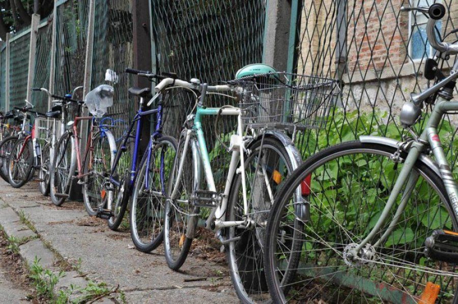 Miklós, a halasi biciklitolvaj