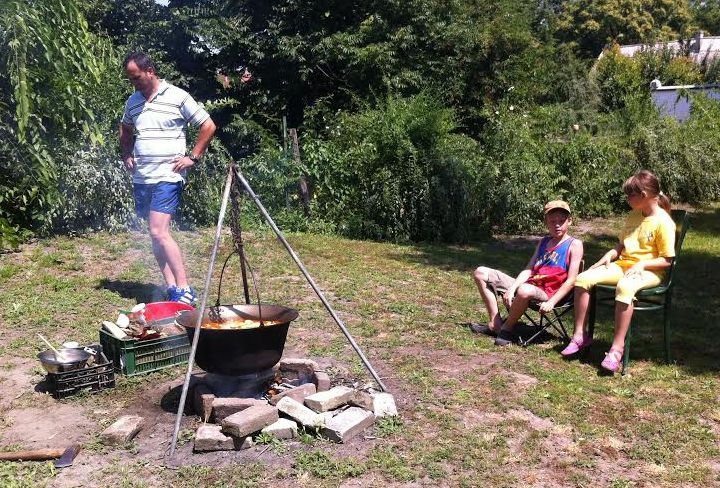Fészekrakó családi nap