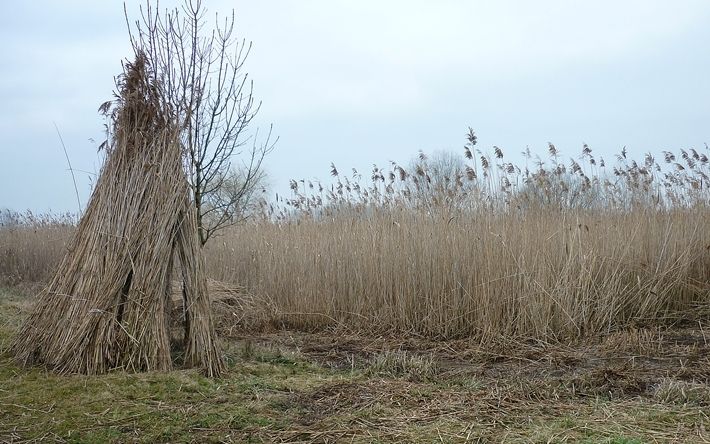 (►) Nádvágás a Csetényiben