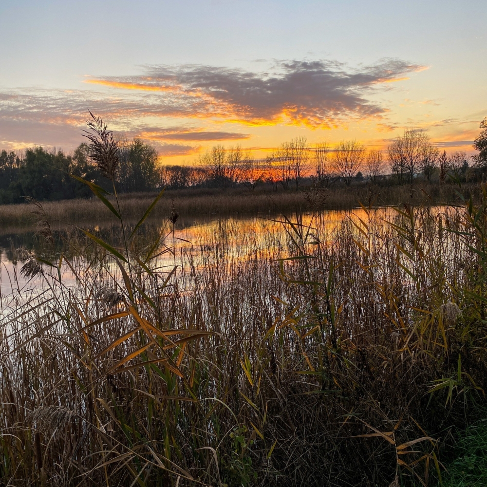 (►) Kikapcsolódás a Csetényi Élményparkban