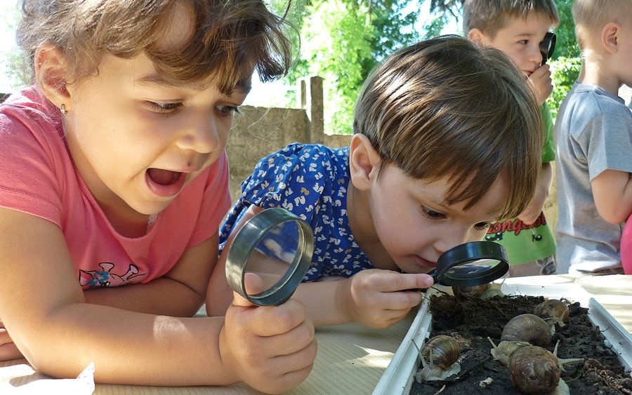 (►) Madarak laknak az oviban