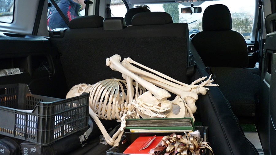 Múzeumi órák fiataloknak