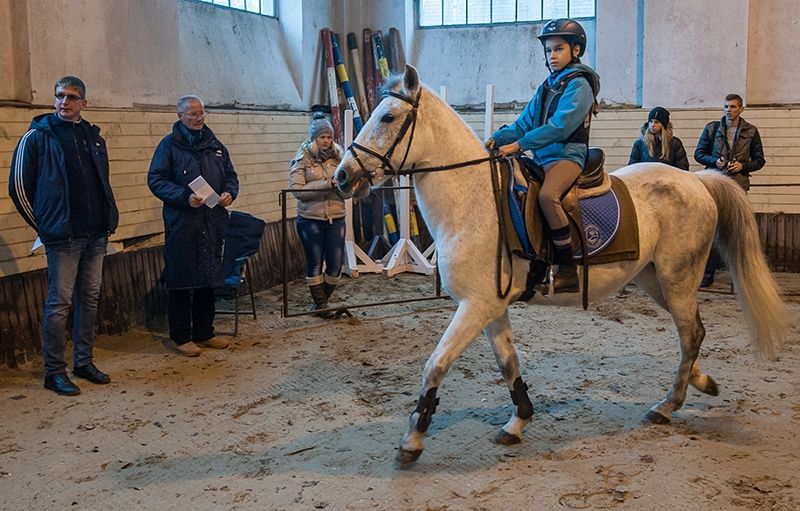 Dallos- edzés Mikulásra