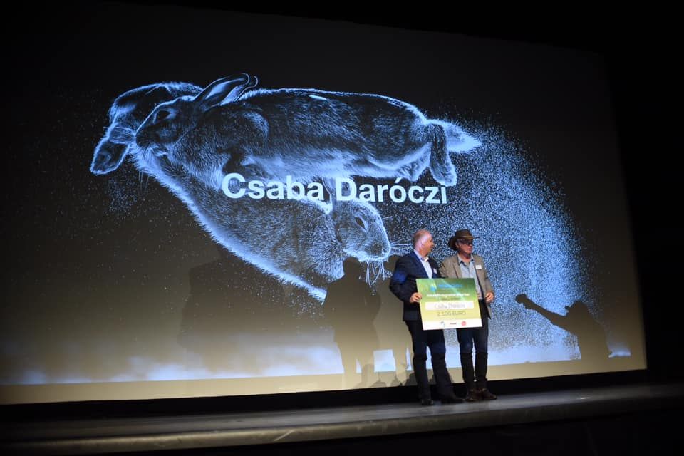 A Daróczi nyuszik tovább hódítanak