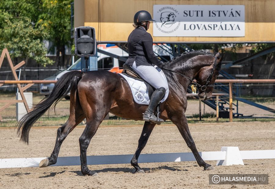 (►) Halasi érmesek a díjlovagló régiós döntő nyitányán (galéria)