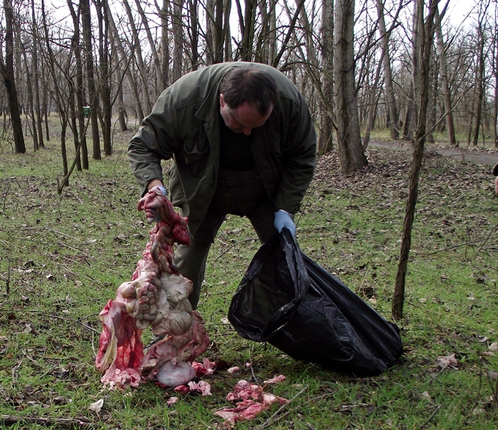 Ez tényleg undorító volt! (felkavaró fotók)