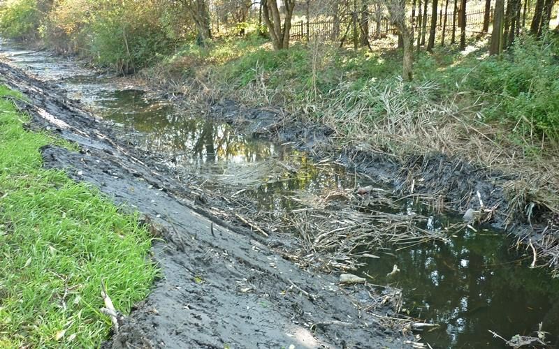 (►) Kotorják a csatornákat