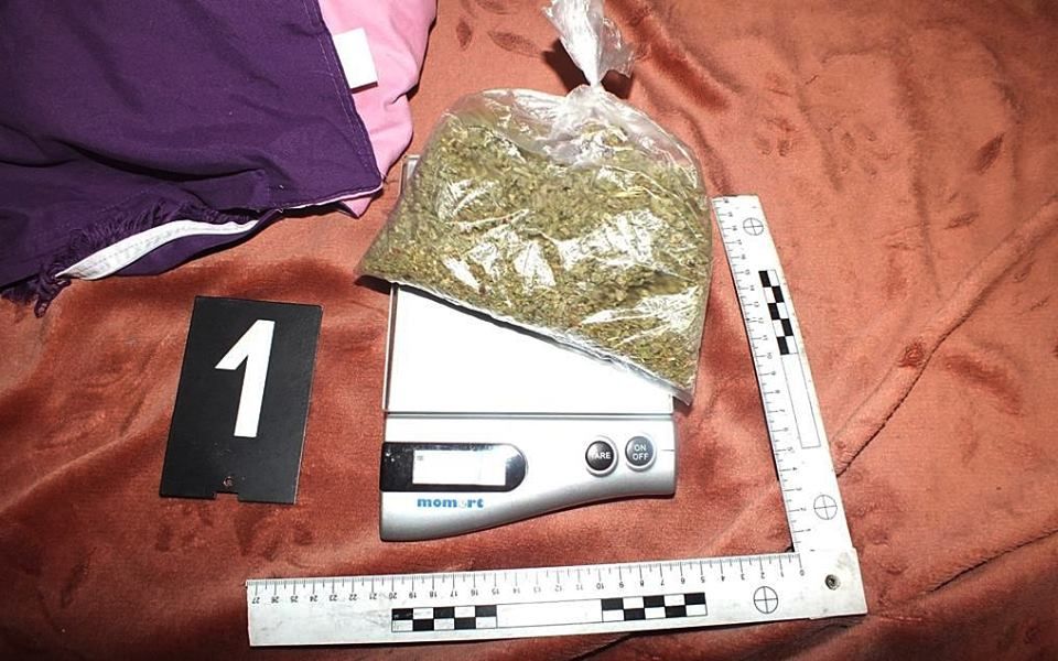 Előzetesben a halasi drogdíler