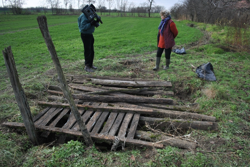 Munkatársa ölhette meg a férfit (videó)