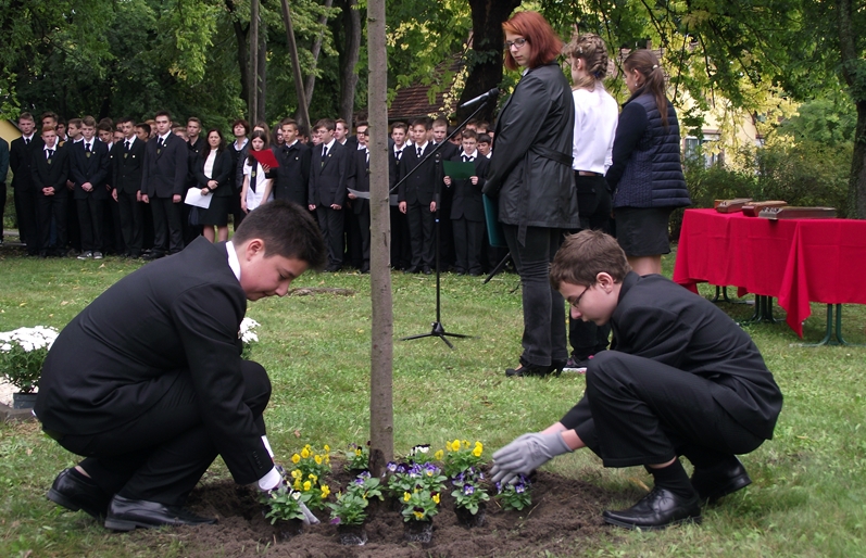 A halasi csata emlékére