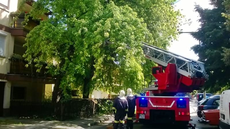 Erkélyre szakadt egy faág