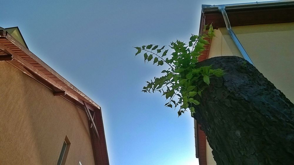 Nincs ok a pánikra...