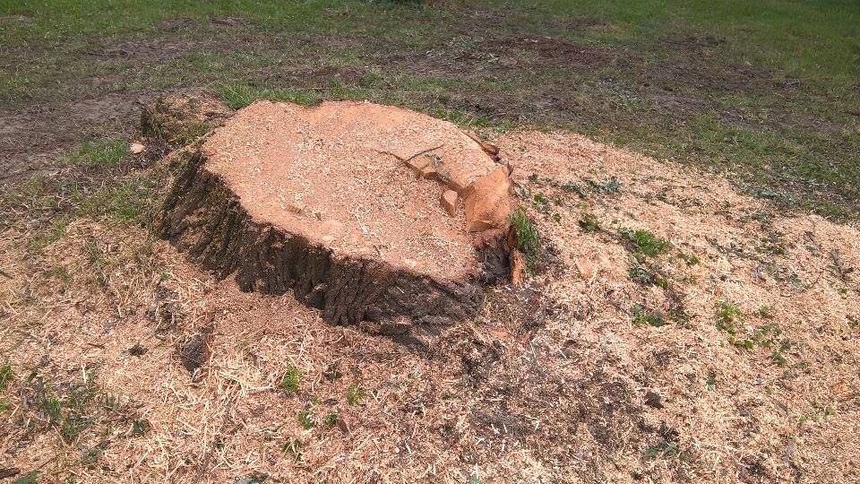Több mint hatvan helyen kellett segíteni
