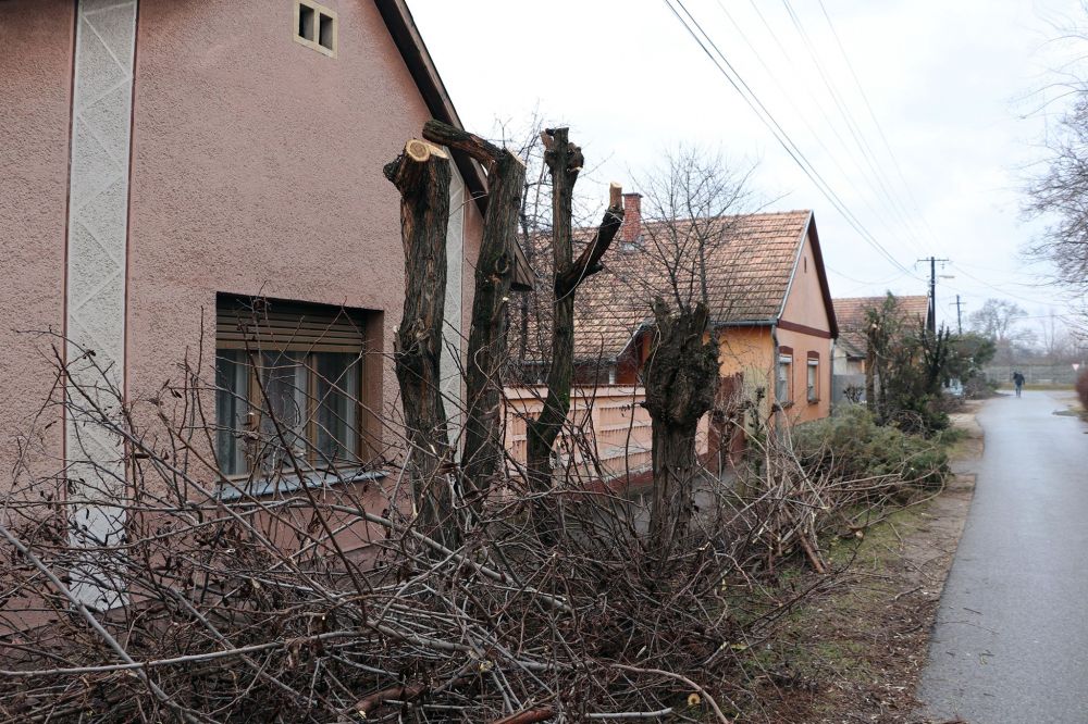 (►) Sokan bosszankodnak a facsonkolások miatt