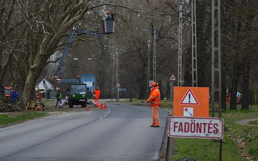 A magasban lógva nyestek