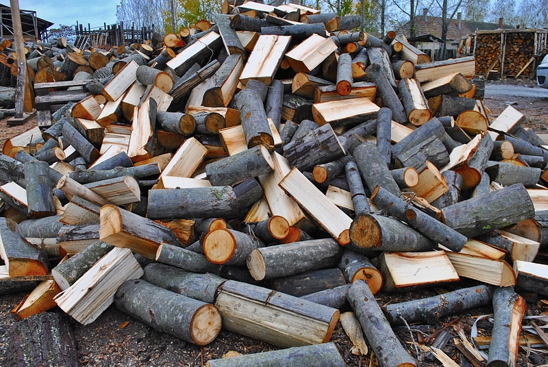 Az országban Halasra zúdult a legtöbb csapadék (videó)