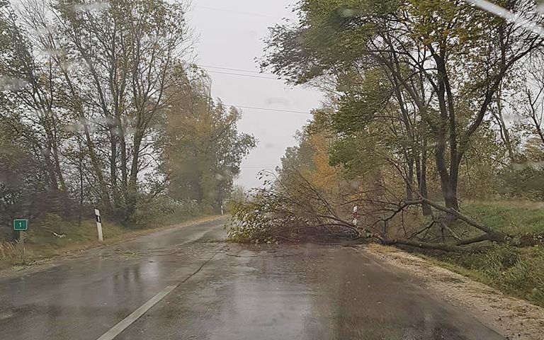 Tomboló vihar Halason és környékén