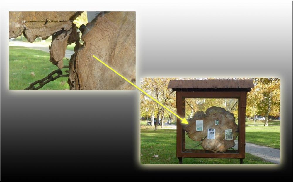 LEZÁRVA (2015.01.30.)