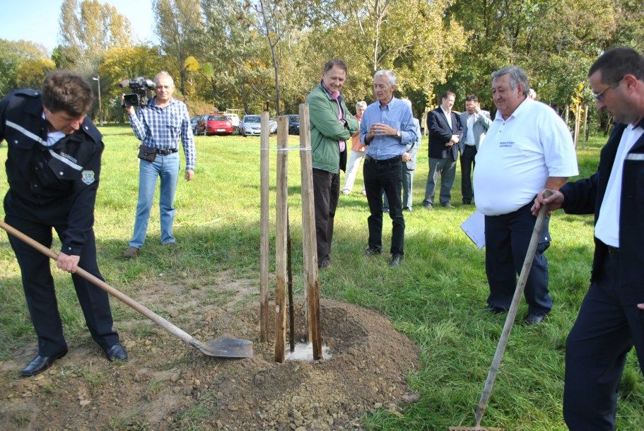 Emlékfát ültettek a halasi polgárőrök