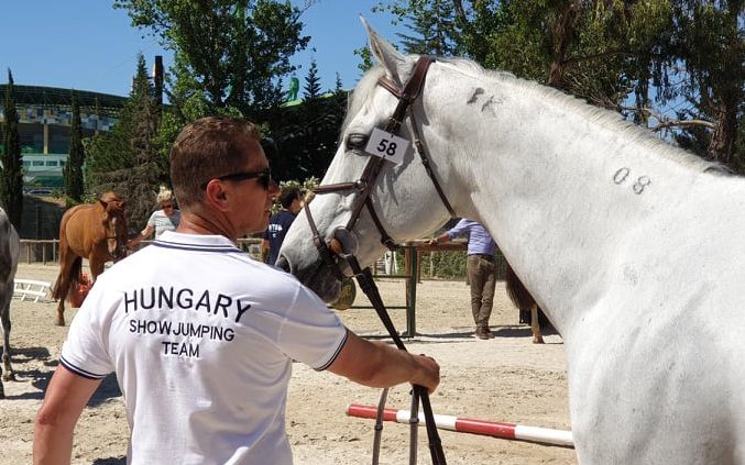 Lovasaink Lisszabonban