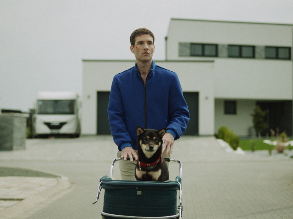 (►) Az érzések és a felismerések dominánsak