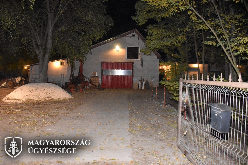 Különös kegyetlenséggel elkövetett emberöléssel vádolják a pirtói férfit