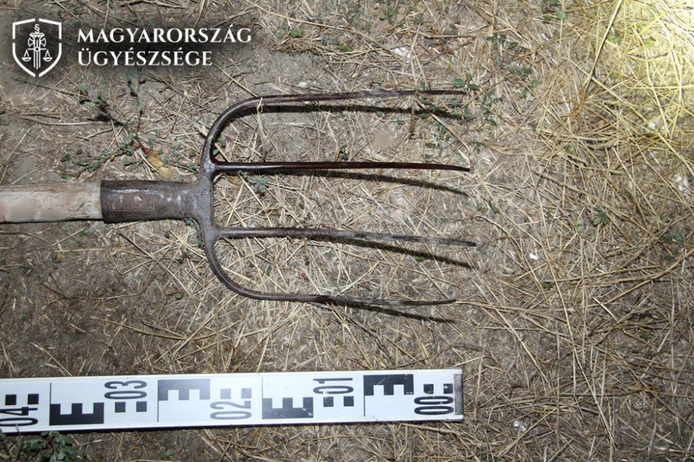 Villája volt, nyugdíjasra támadt, autót akart lopni és még a barátját is leütötte