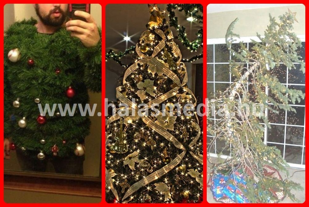 Nyerjen karácsonyfájával!