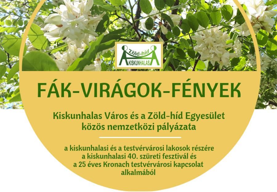 Fák, virágok, fények