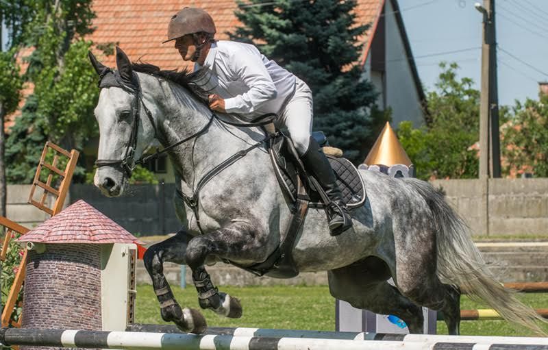 Jó szereplések hazai pályán