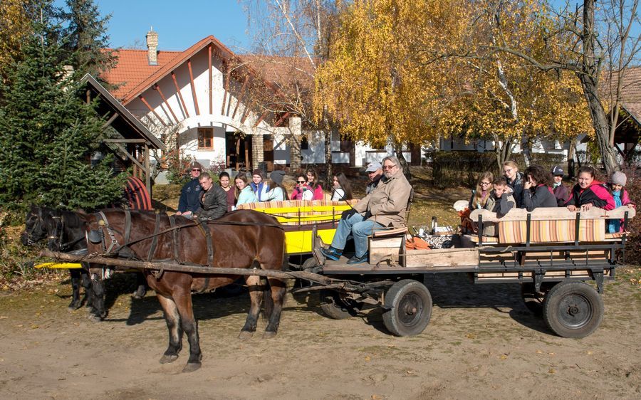 Pirtói kilovaglás (galéria)