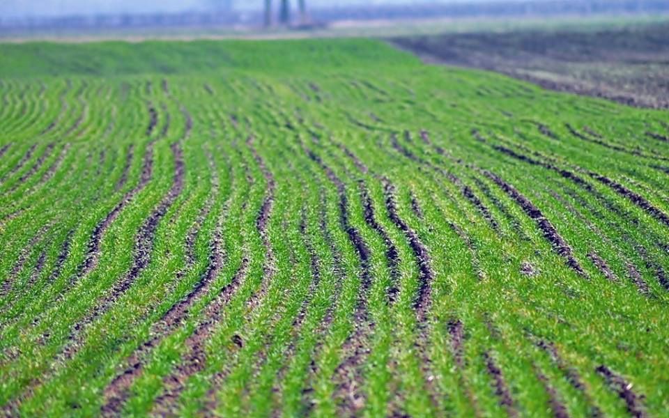 Itt a földárverések időpontja