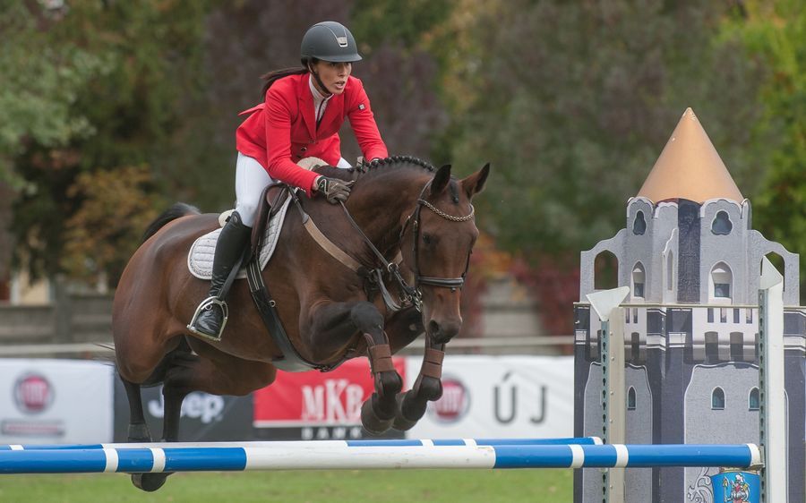 Lovas ezüst és bronz Kecskeméten