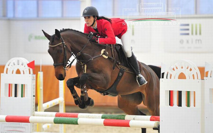 Aranyos Flóra finis