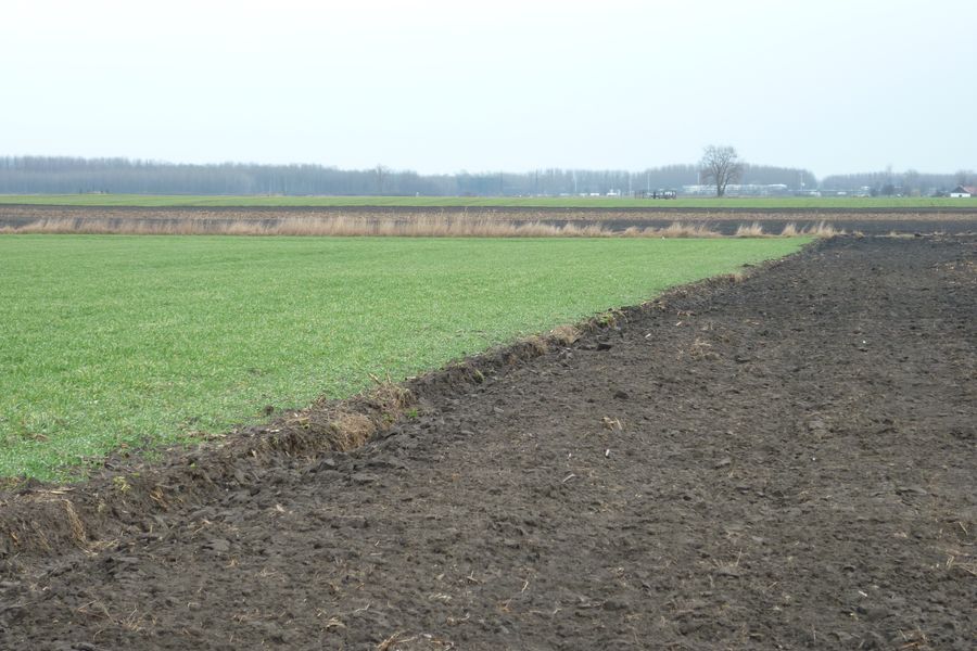 Kivárnak a vetéssel