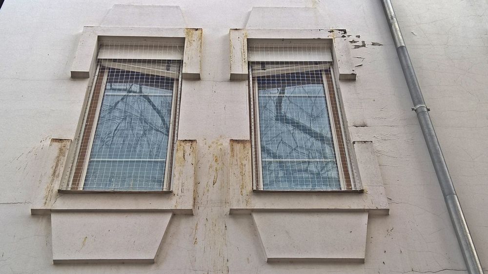 Megszüntették a galambtanyát