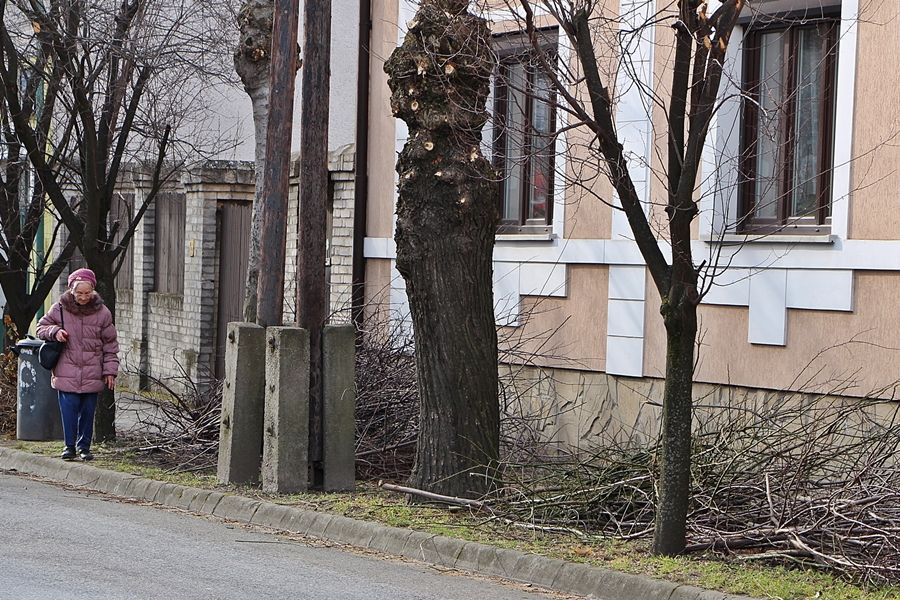 Volt gally, nincs gally