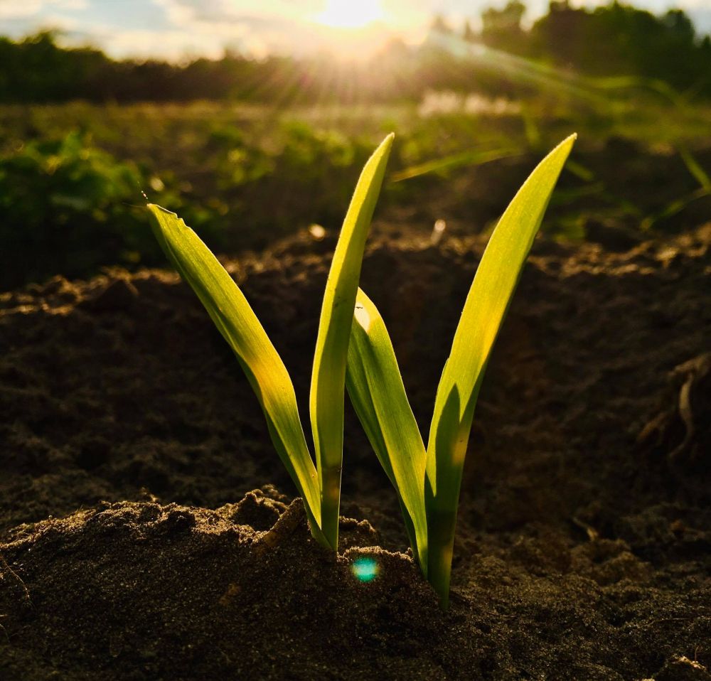 Hamarosan nyitnak a falugazdász irodák